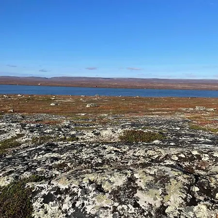 Ekkeroy - Arctic Living Under The Northern Lights Vadsø