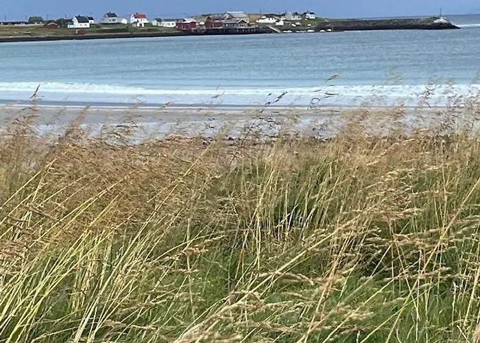 Ekkeroy - Arctic Living Under The Northern Lights *