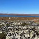 Ekkeroy - Arctic Living Under The Northern Lights Vadsø